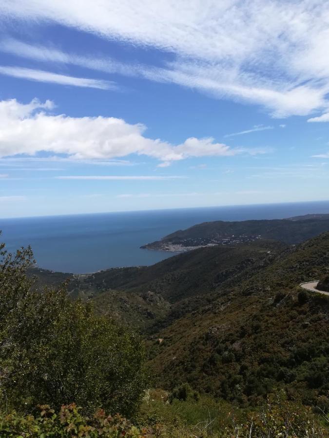 Cap D Osne - Banyuls Sur Mer - 2Mn Plage Extérieur photo