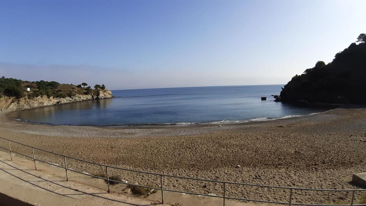 Cap D Osne - Banyuls Sur Mer - 2Mn Plage Extérieur photo