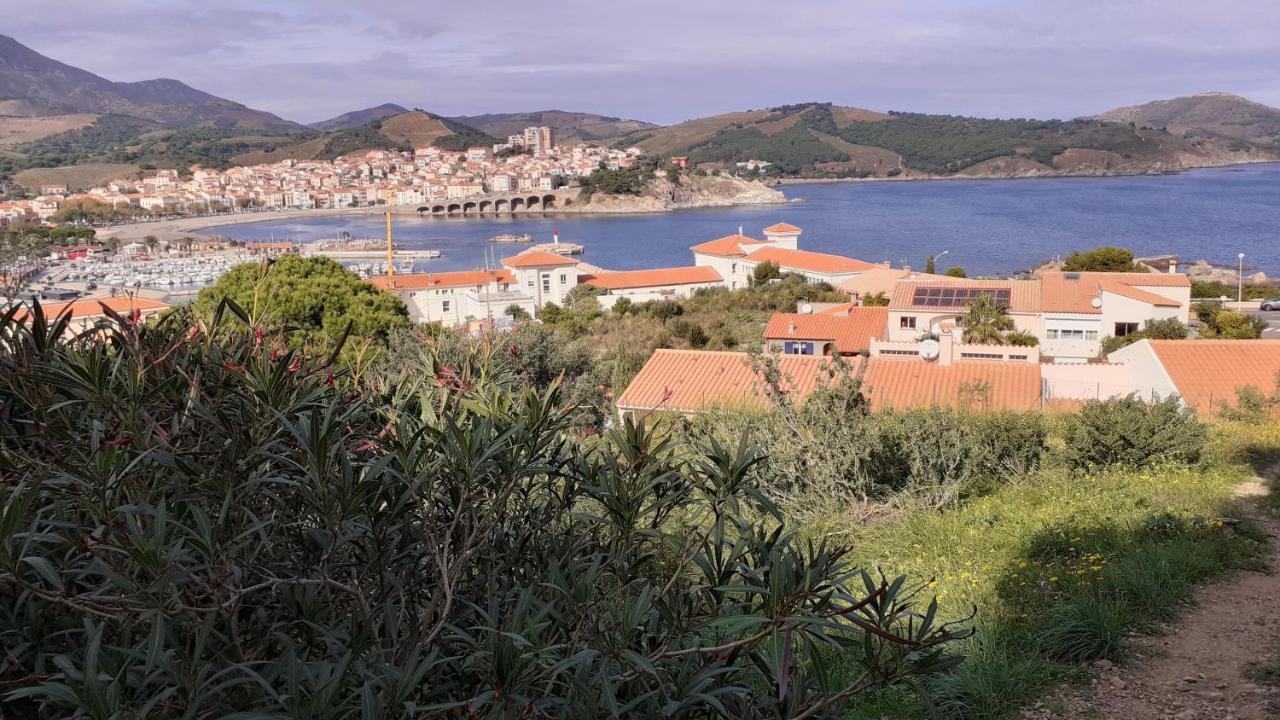 Cap D Osne - Banyuls Sur Mer - 2Mn Plage Extérieur photo