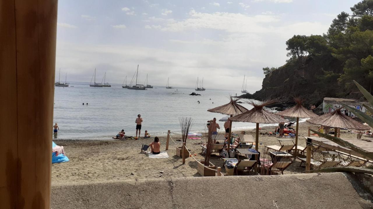 Cap D Osne - Banyuls Sur Mer - 2Mn Plage Extérieur photo