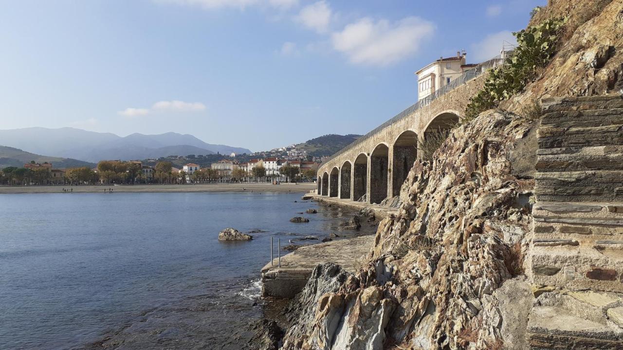 Cap D Osne - Banyuls Sur Mer - 2Mn Plage Extérieur photo